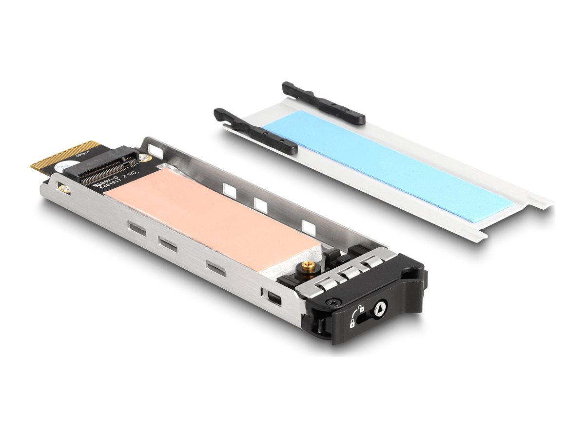 DELOCK Wechselrahmen Einschub 1 x M.2 NVMe SSD - Vorderansicht