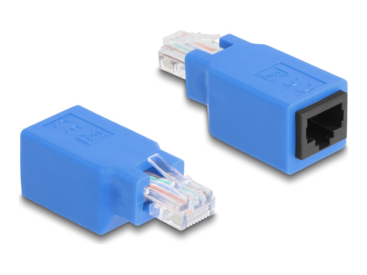 DELOCK RJ45 Rollover Adapter Stecker zu Buchse - Vorderansicht