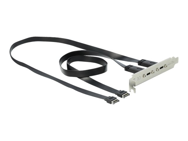 DELOCK Slotblech mit 2 x USB Type-C Port - Vorderansicht