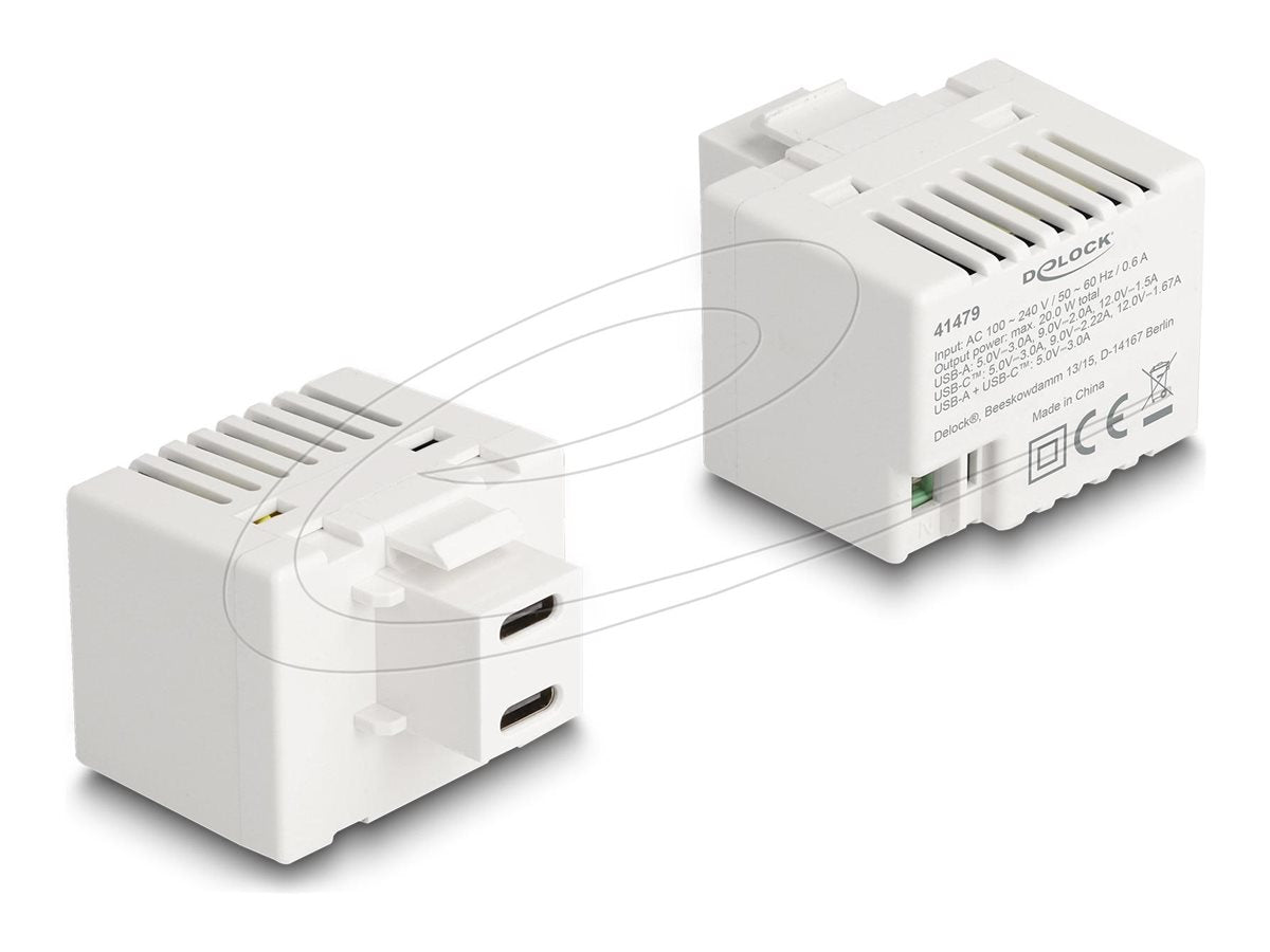 DELOCK Keystone Modul mit 2 x USB Type-C Ladebuchsen PD 20 W - Vorderansicht