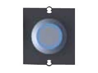 BACHMANN Rahmen 1xTaster Edelstahl beleuchtet blau