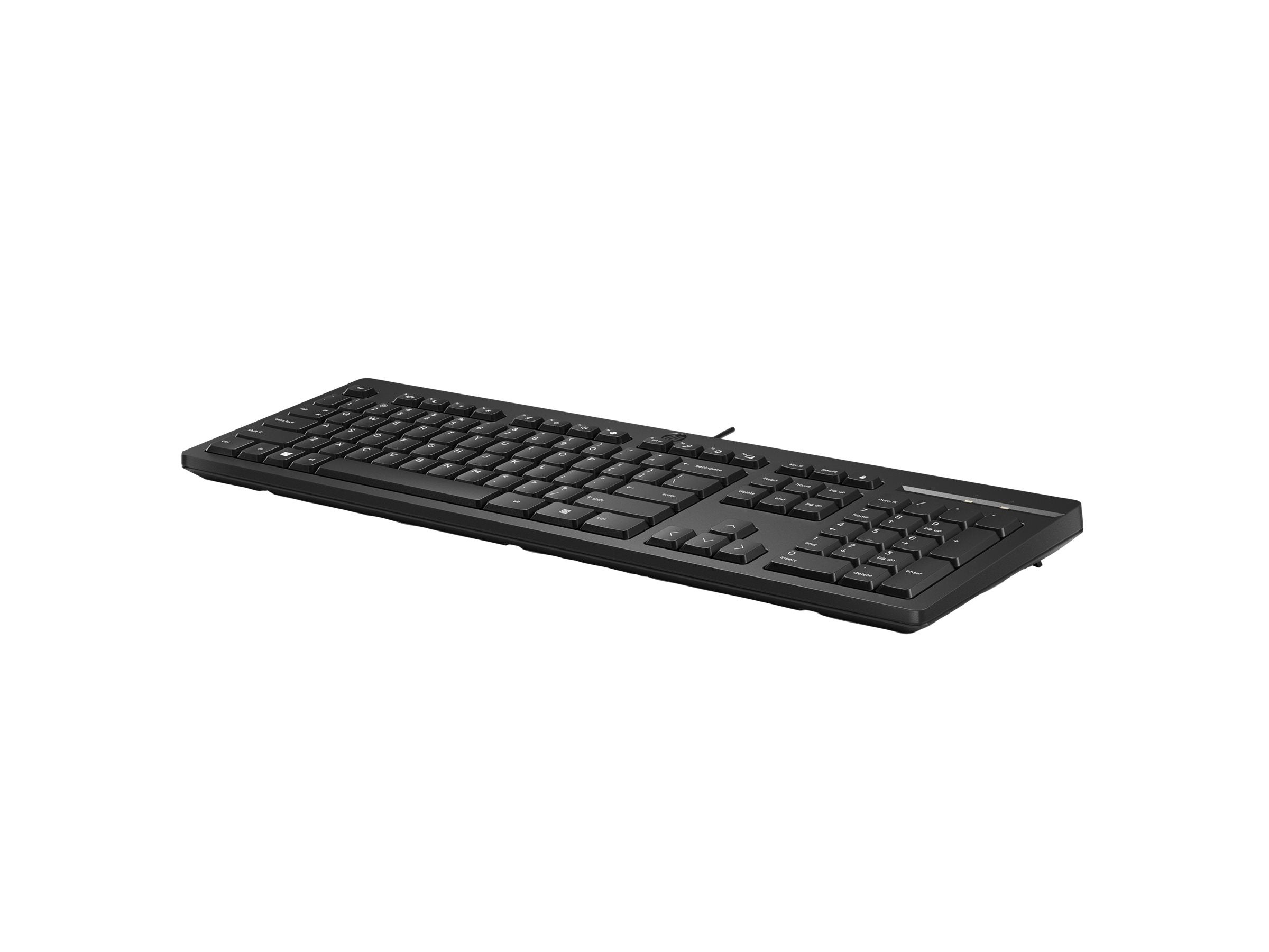 HP 125 G2 USB WD KBD (RO) Detailansicht