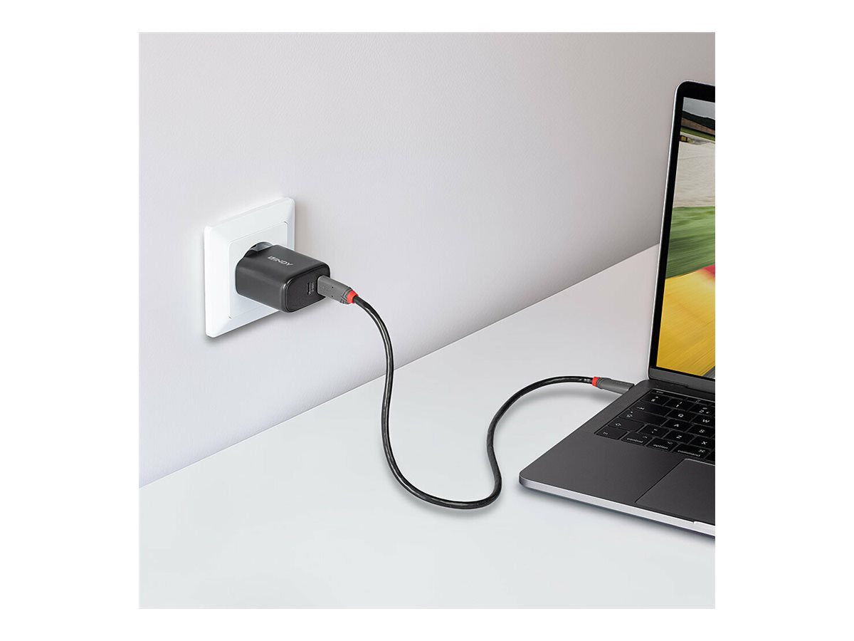 LINDY 65W USB 2 x Type C GaN Charger Vorderansicht