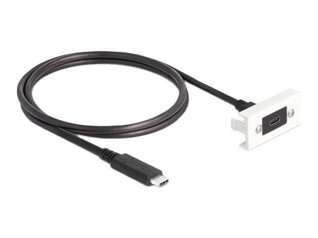 DELOCK Easy 45modul SuperSpeed USB 10 Gbps USB 3.2 Gen 2 USB Type-C Buchse zu USB Type-C Stecker mit Kabelpeitsche - Vorderansicht