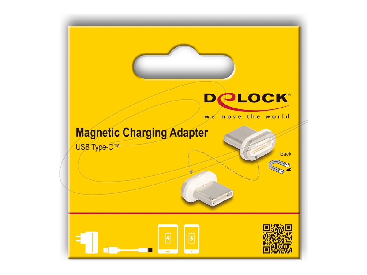 DELOCK Magnetischer Adapter USB Type-C Stecker
