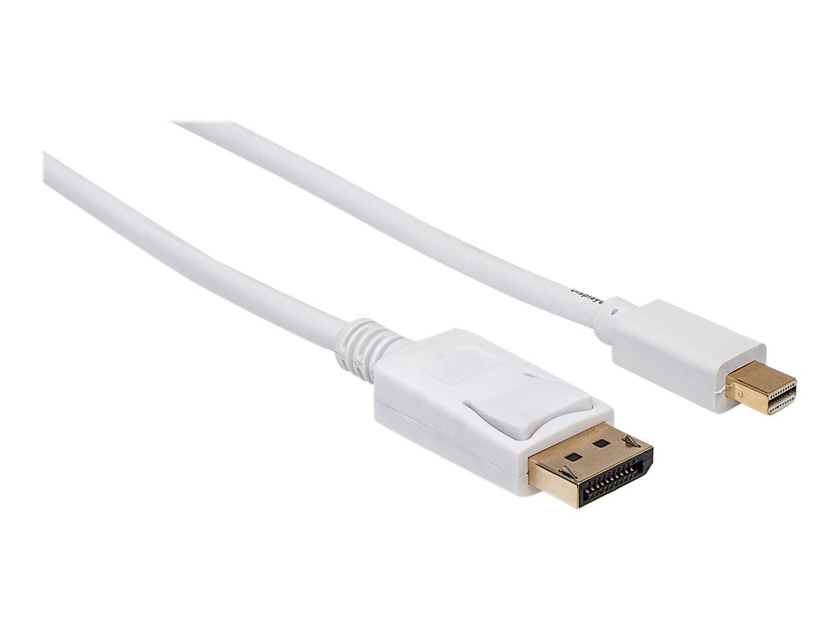 TECHLY Mini-DisplayPort Thunderbolt Anschlusskabel auf DisplayPort Detailansicht