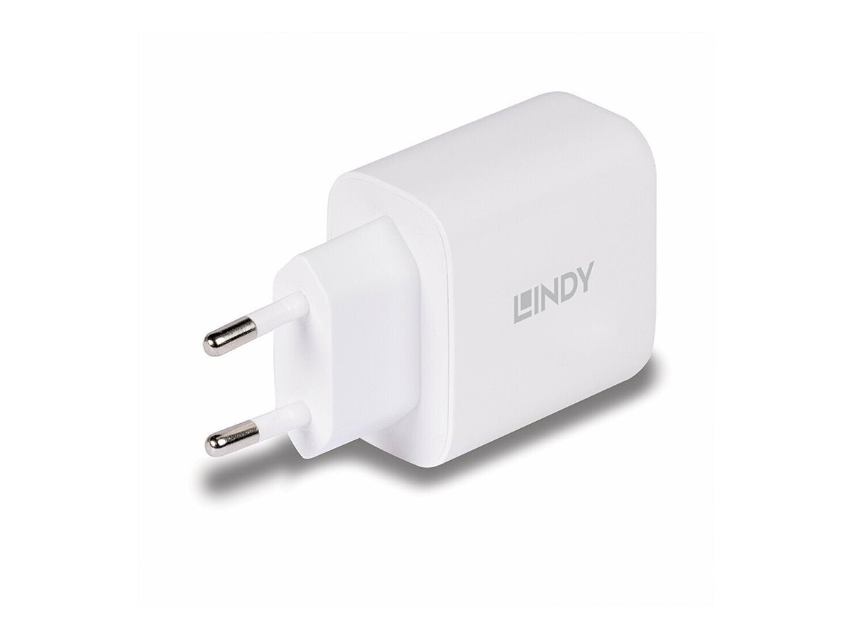LINDY 65W USB Type C GaN Charger mit EU-Stecker