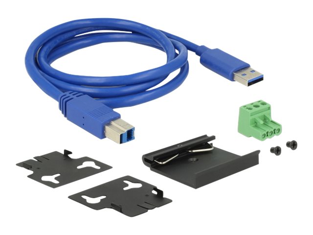 DELOCK Externer Industrie Hub 4 x USB 3.0 Typ-A Verpackung