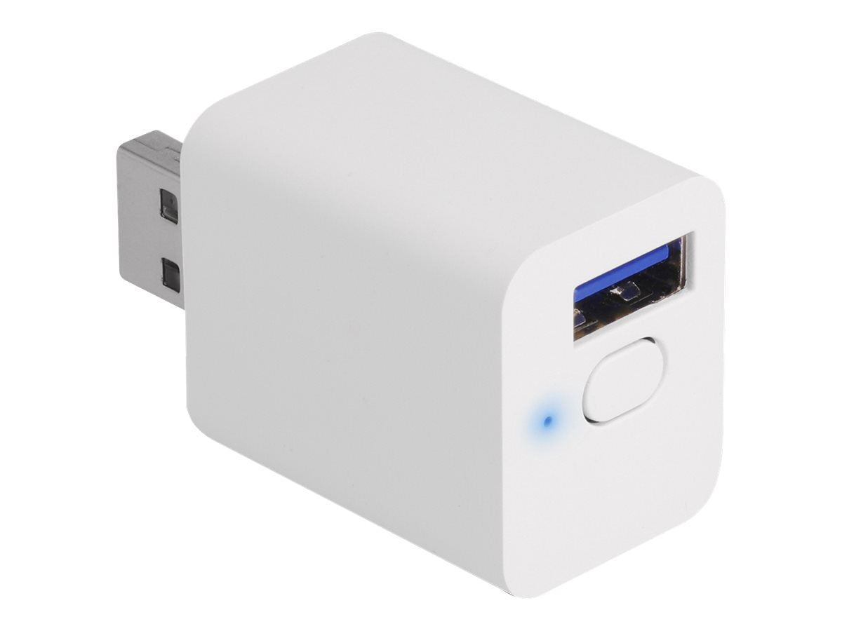 DELOCK WLAN EASY-USB Smart Schalter MQTT Vorderansicht