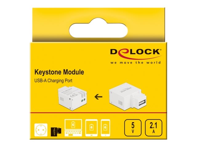 DELOCK Keystone Modul mit USB Typ-A Ladebuchse 2,1 A - Vorderansicht