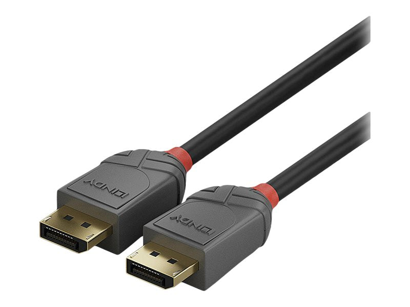 LINDY 1m DisplayPort 1.4 Kabel Anschlussansicht