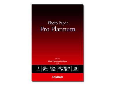 CANON PT-101 pro platinum Fotopapier Verpackung
