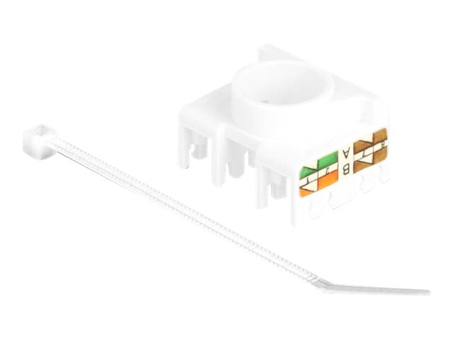 DELOCK Keystone Modul RJ45 Buchse Detailansicht