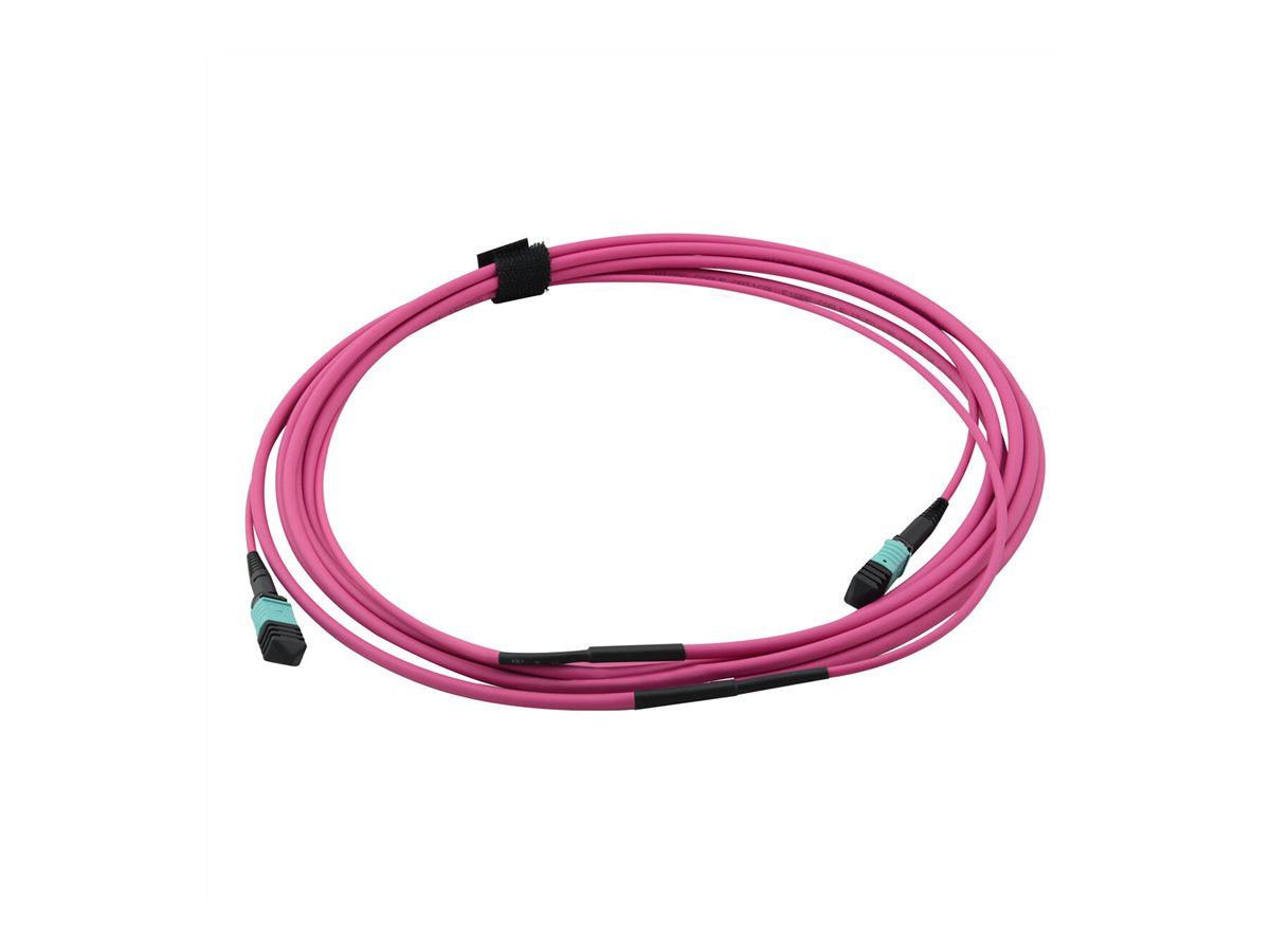VALUE MPO-Trunk-Kabel 50/125um OM4 MPO/MPO violett 3m - Vorderansicht