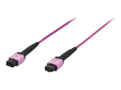 DIGITUS LWL Patchkabel MPO auf MPO Female OM4 Multimode 50/125 m 1m - Vorderansicht