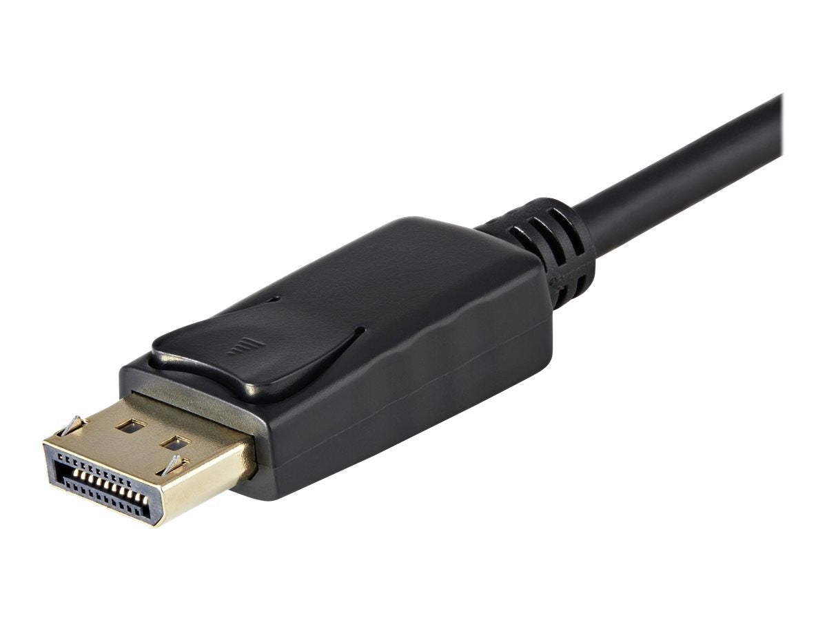STARTECH.COM DP2VGAMM3B DisplayPort to VGA Kabel - Anschlussansicht