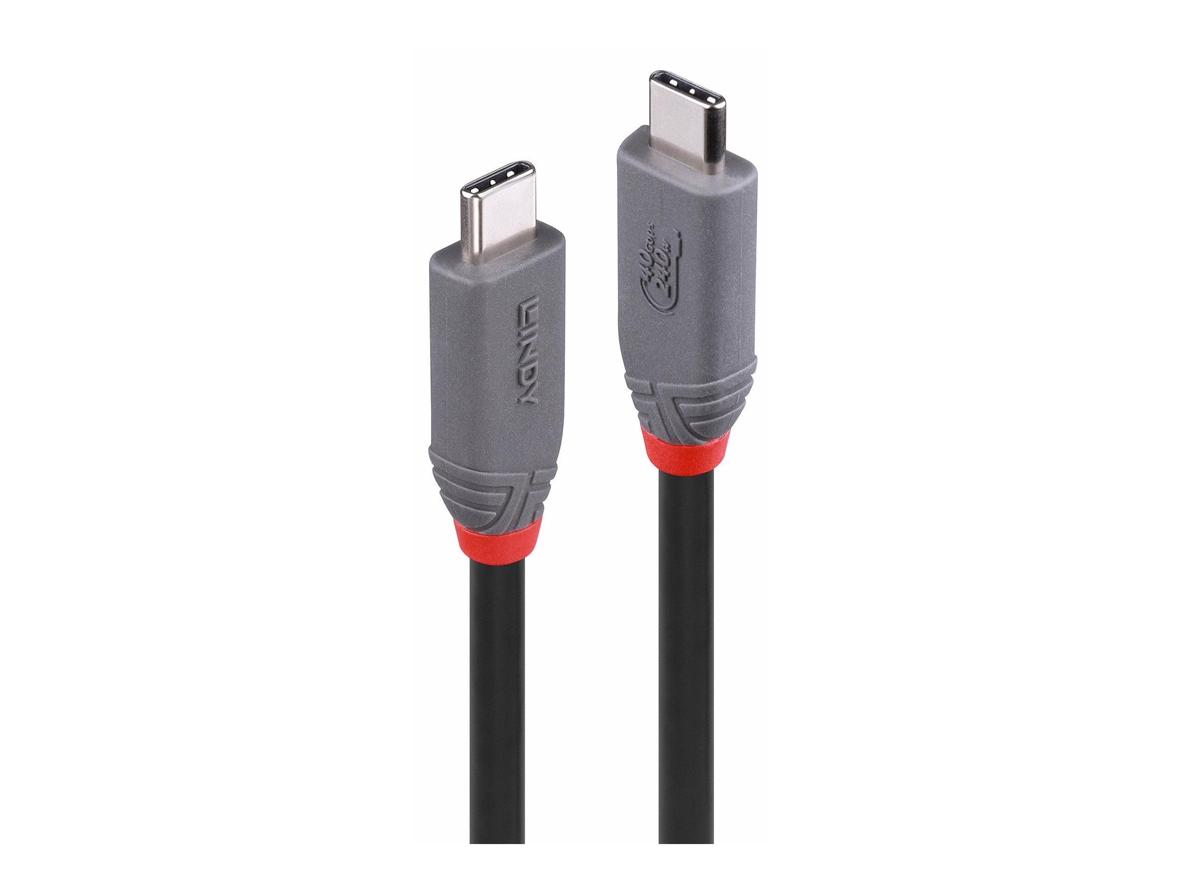 LINDY 2m USB 4 240W Type C Cable Vorderansicht