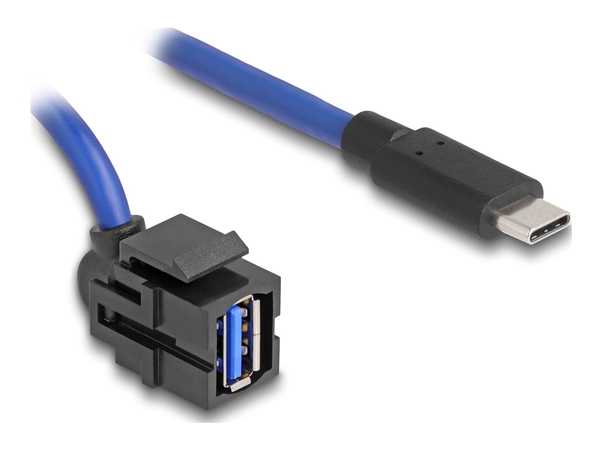 DELOCK Keystone Modul USB 5 Gbps A Buchse zu USB Type-C Stecker mit Kabel - Vorderansicht