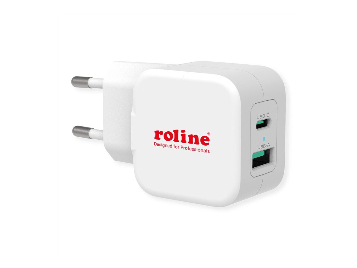 ROLINE USB Charger Detailansicht