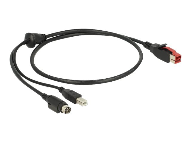 DELOCK PoweredUSB Kabel Stecker 24 V Vorderansicht