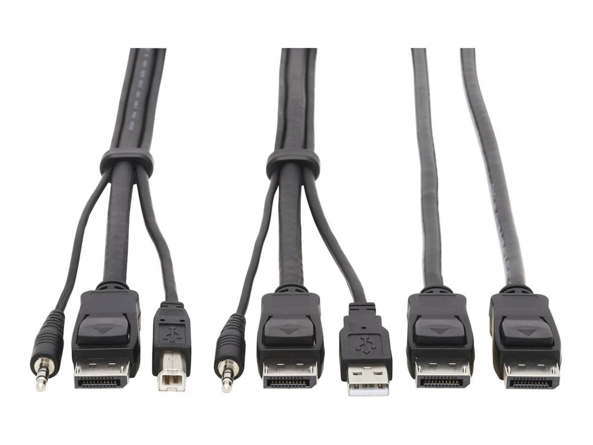 EATON TRIPPLITE Dual DisplayPort KVM Cable Kit - Kabel in Schwarz