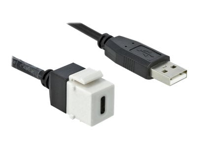 DELOCK Keystone Modul USB 2.0 C Buchse > USB 2.0 A Stecker mit Kabel
