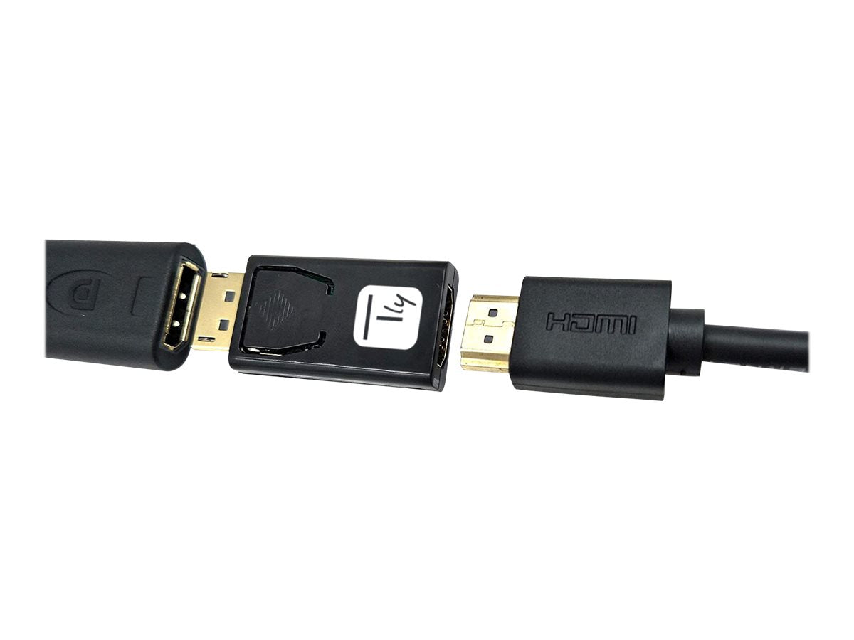 TECHLY Adapter DisplayPort 1.2 Schwarz auf HDMI 4K 60Hz Konverter - Verpackung