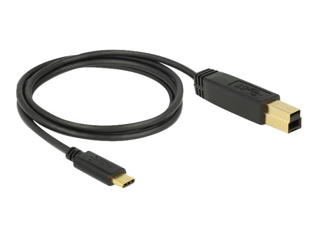 DELOCK USB 3.1 Gen 2 Kabel Type-C zu Typ-B Vorderansicht