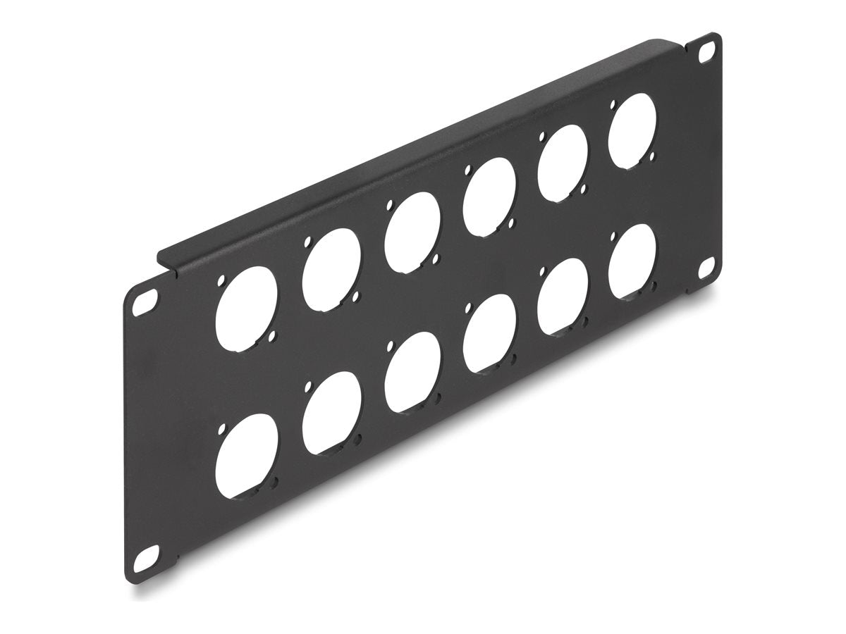 DELOCK 25,4cm 10 Zoll D-Typ Patchpanel 12 Port 2 HE schwarz - Vorderansicht