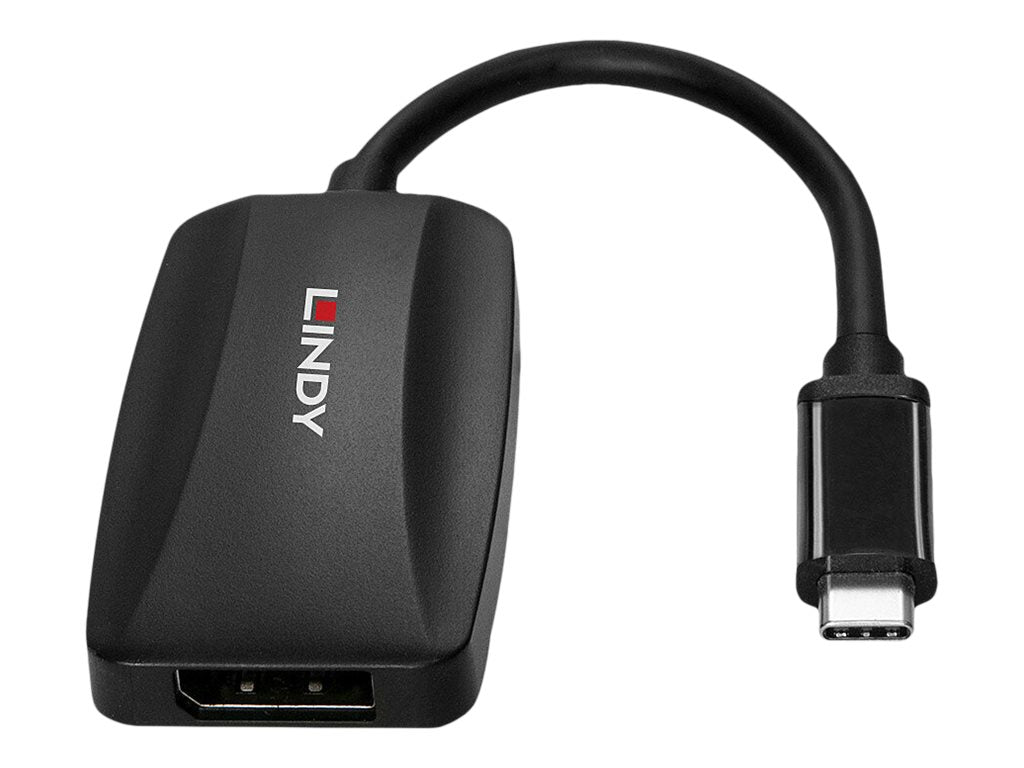 LINDY USB Typ C auf DP 1.4 Konverter Anschlussansicht
