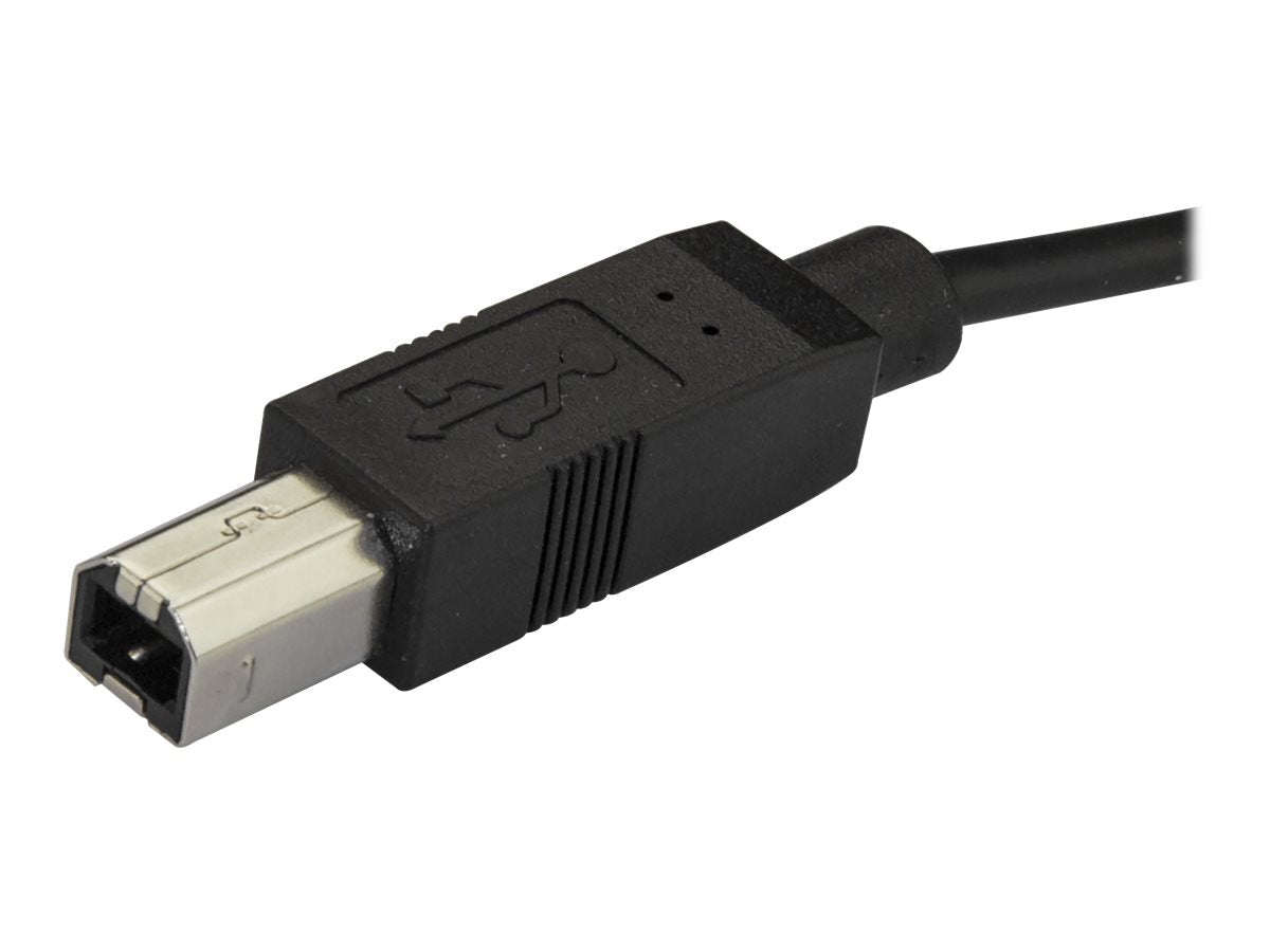 STARTECH.COM 2m USB C to USB B Cable - Anschlussansicht