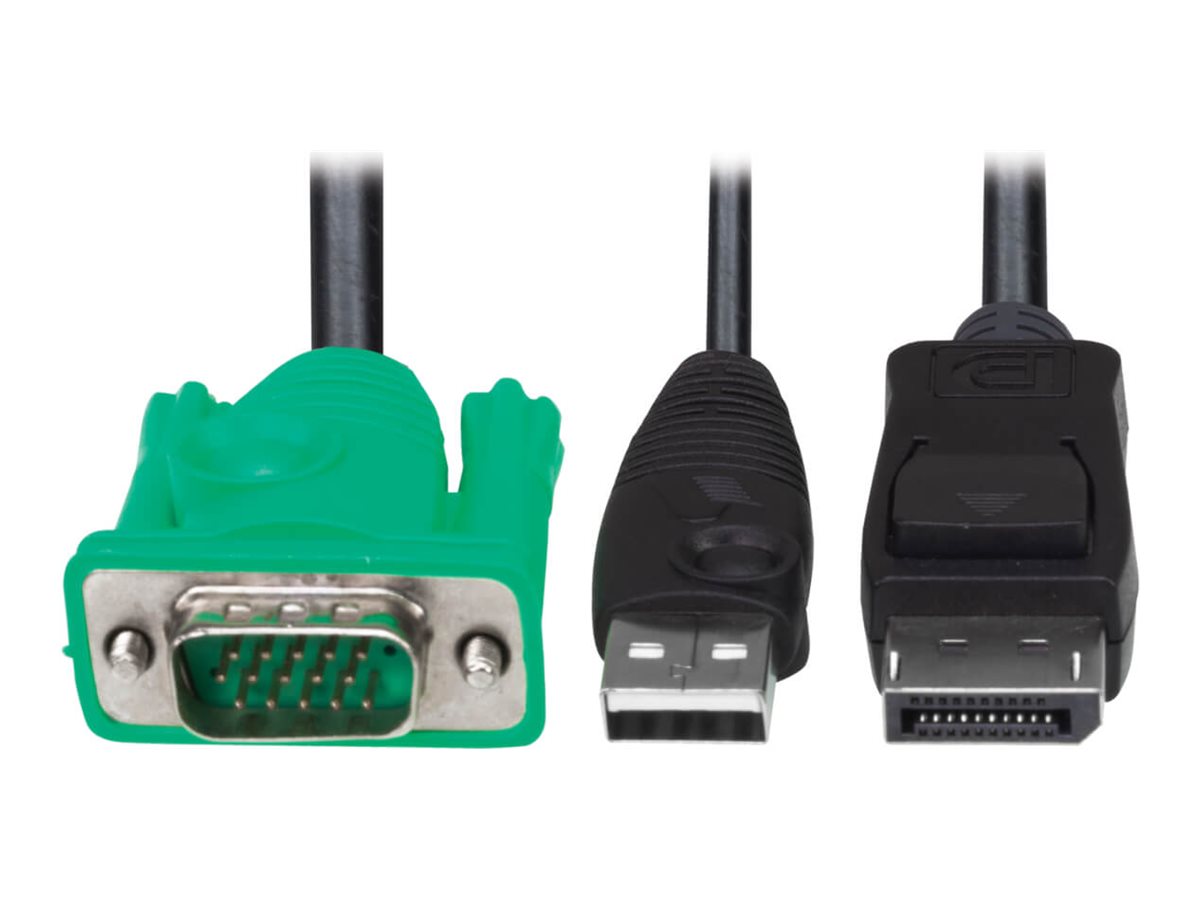 EATON P778-006-DP VGA to DisplayPort und USB-A Adapterkabel Vorderansicht