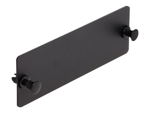 DELOCK LWL Blindpanel schwarz - Vorderansicht