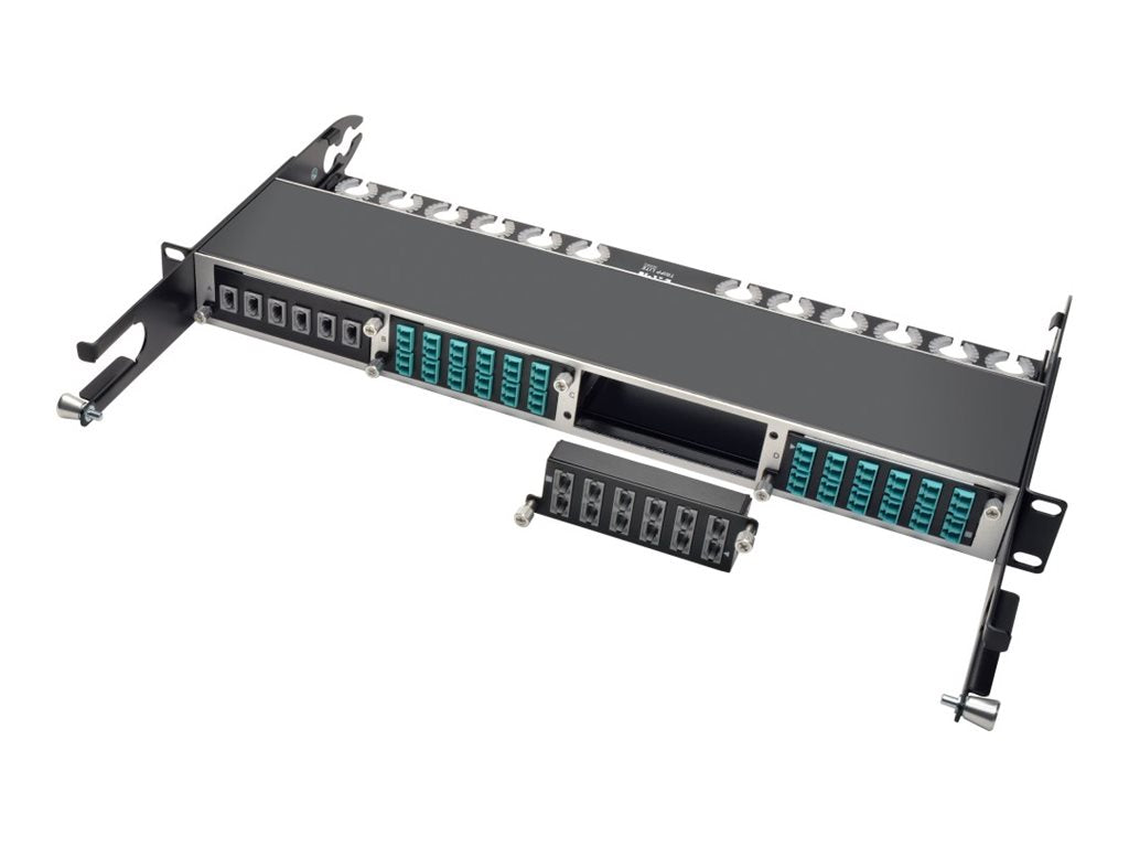 EATON TRIPPLITE 40Gb High Density Pass-Through Cassette Vorderansicht