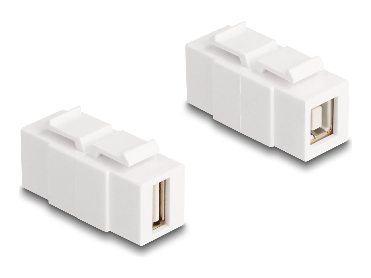 DELOCK Keystone Modul USB 2.0 Typ-A Buchse zu USB 2.0 Typ-B Buchse beidseitig einbaubar - Vorderansicht