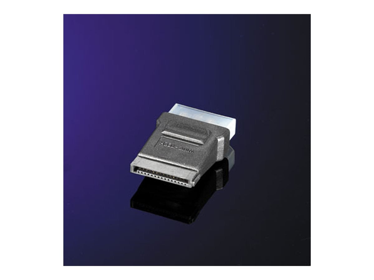 ROLINE Adapter 4 pol. HDD / SATA - Vorderansicht