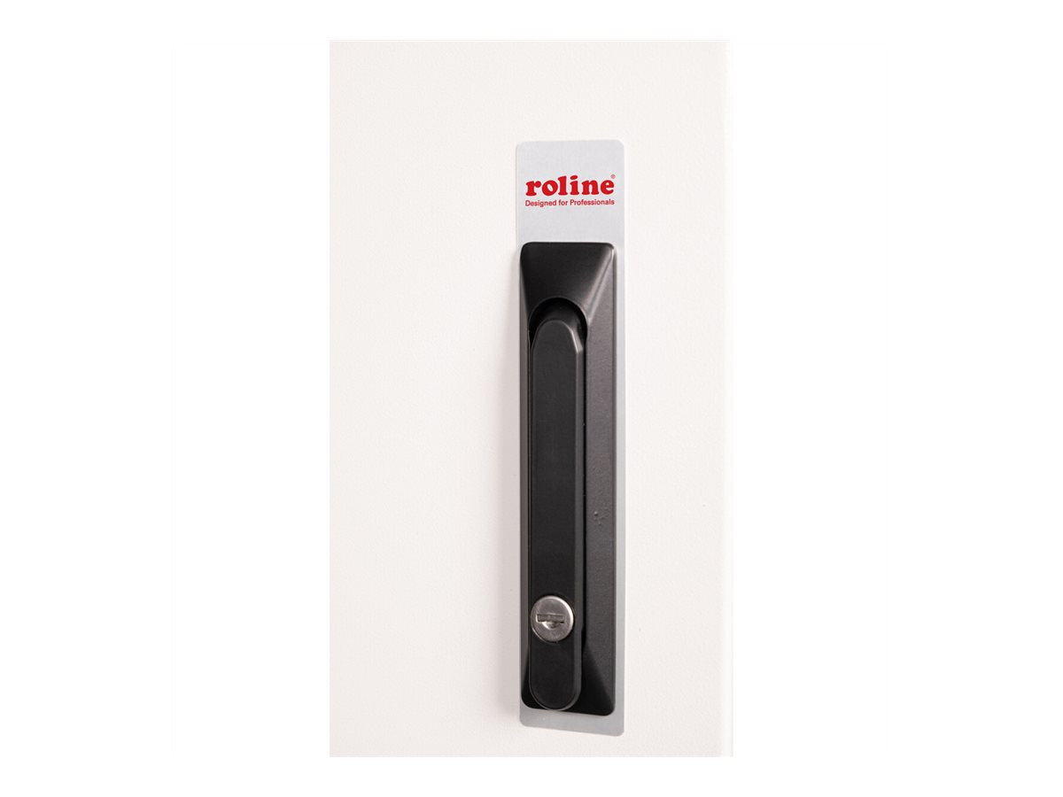 ROLINE Wandgehäuse Pro 48,26cm Verpackung
