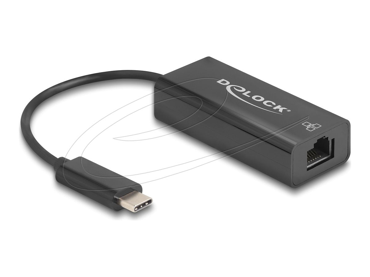 DELOCK USB 2.0 Type-C Adapter zu 10/100mbps LAN - Vorderansicht