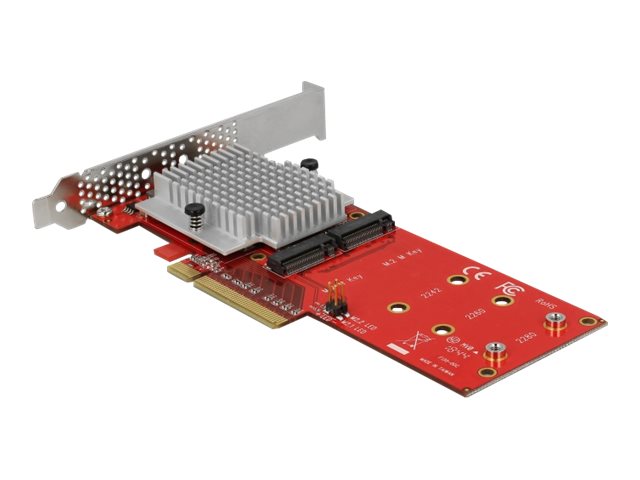 Verpackung der DELOCK PCI Express x8 Karte zu 2 x intern NVMe M.2 Key M - Low Profile Formfaktor
