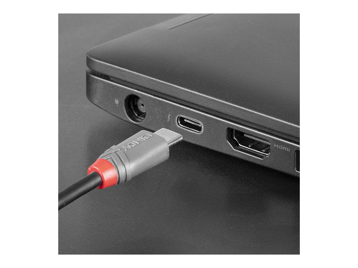 LINDY 2m USB 2.0 C/Micro-B Anthra Line Kabel - Anschlussansicht