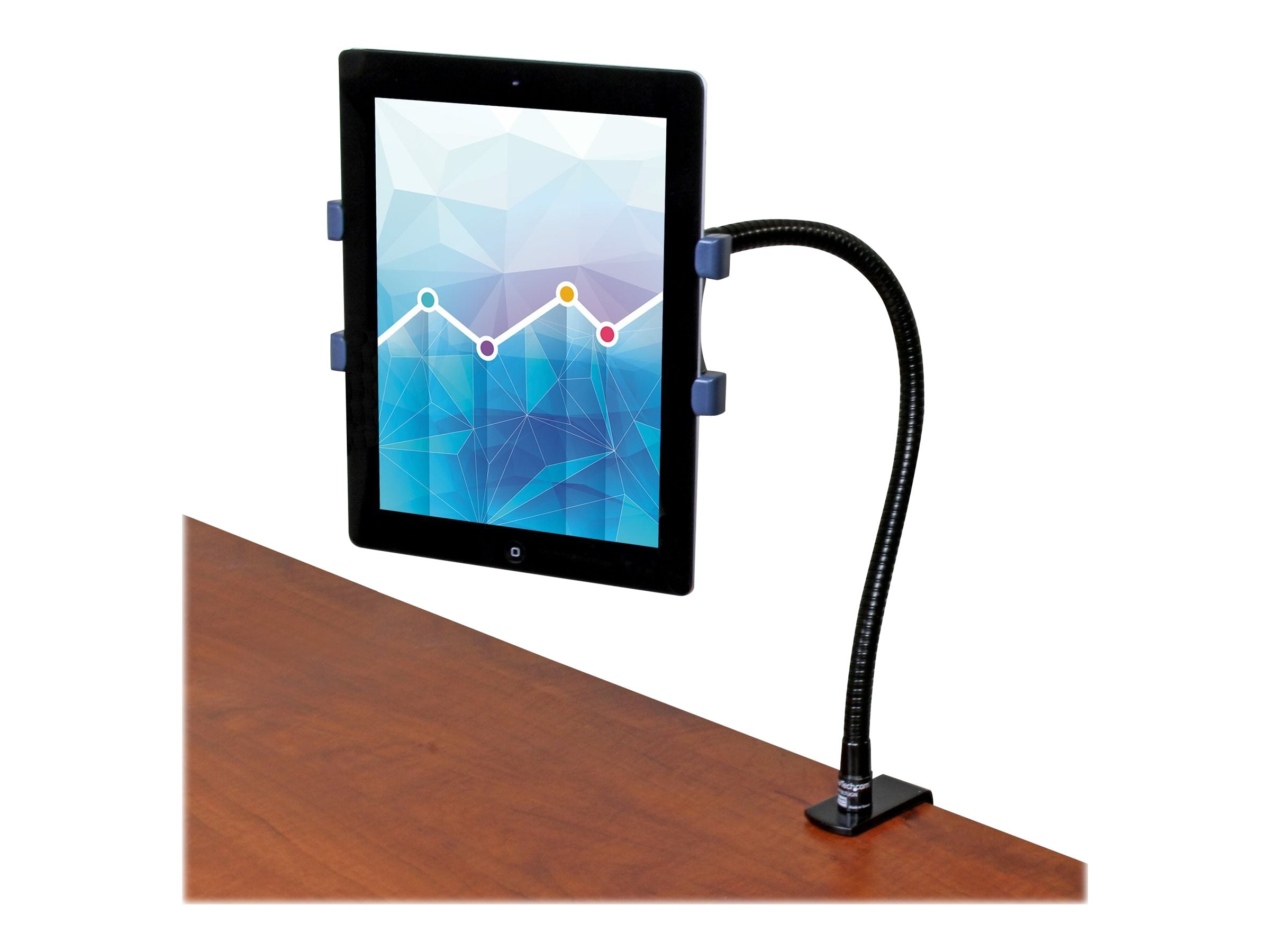 STARTECH.COM Schwanenhals Tablet Halter mit Tischklemme