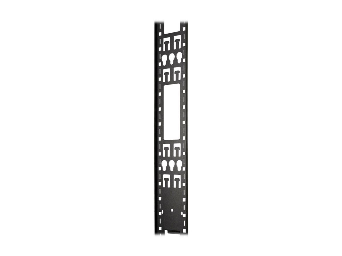 EATON TRIPPLITE 45U Rack Enclosure Server Cabinet Vertical Cable Management Bar Vorderansicht