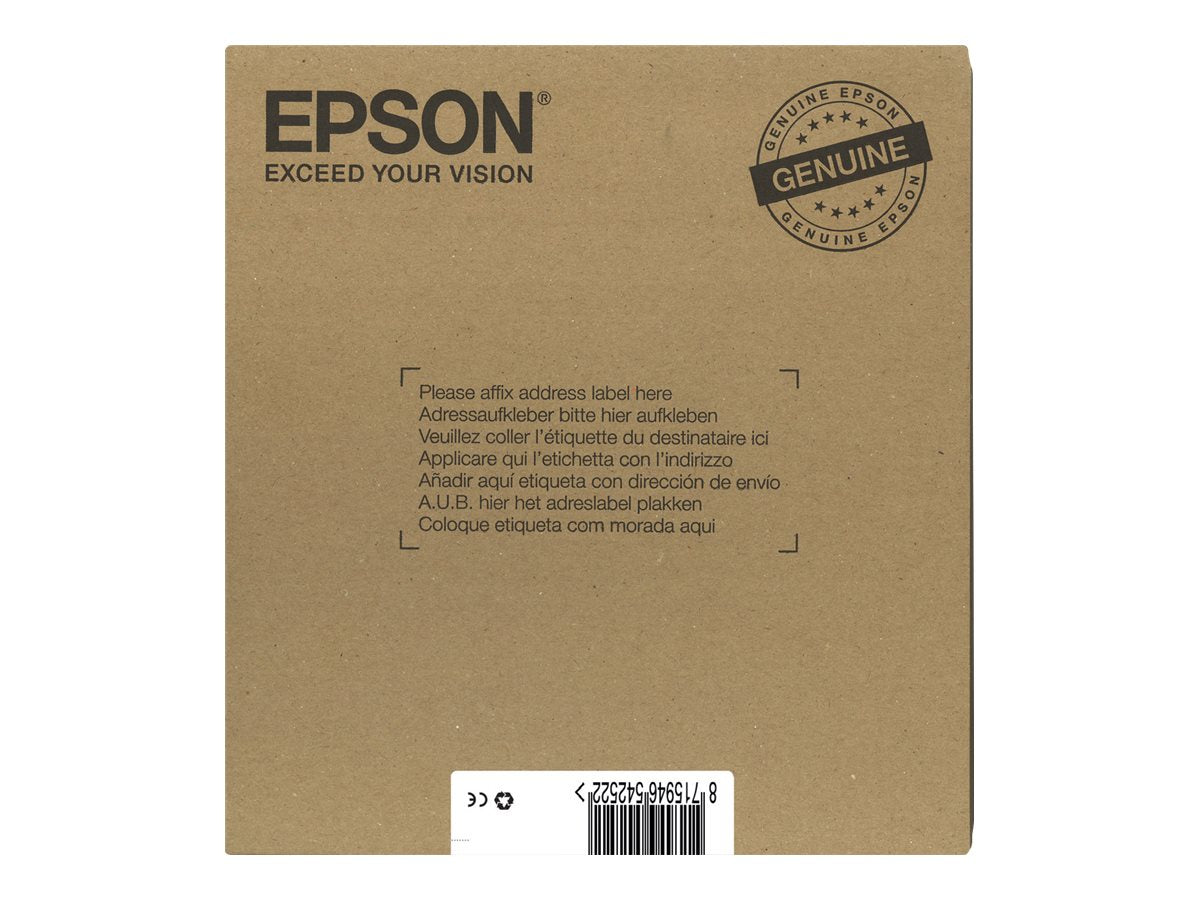 EPSON 2LB EasyMail MP Cheetah DURABrite Ultra CMYK Tintenpatrone im Einsatz